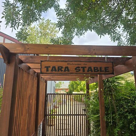 Tara Stables Villa Littlehampton Eksteriør billede